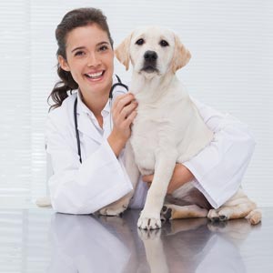 Cães Vacinados